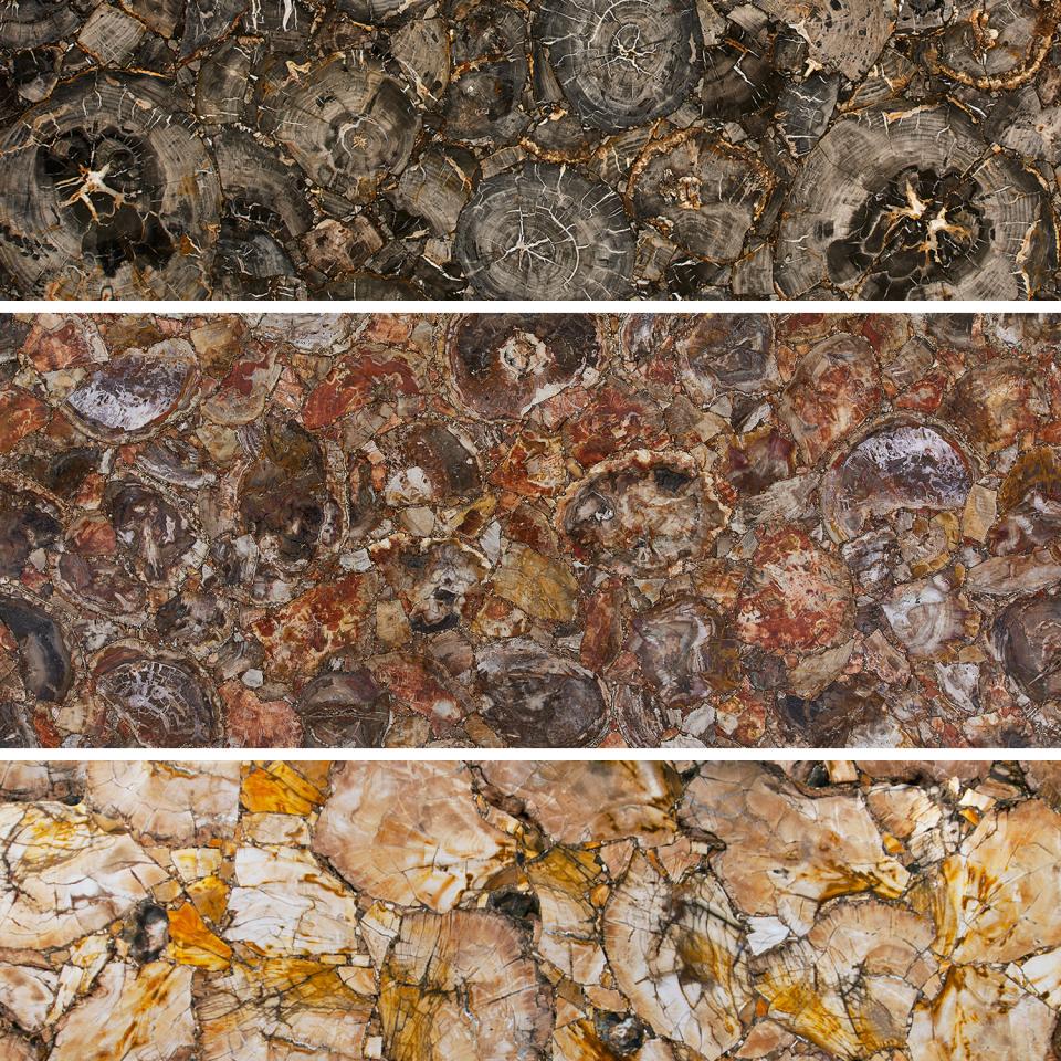 From Fossil to Countertop: All About Petrified Wood | The Stone Collection